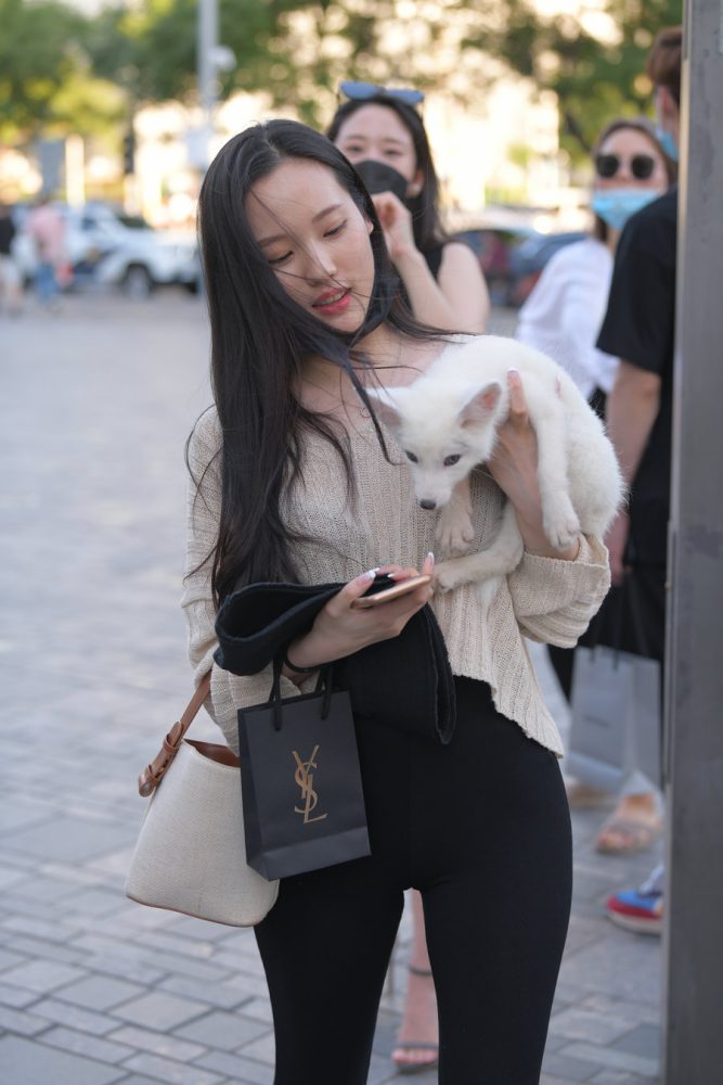 抱着小狗的漂亮女孩 J2106 136P-3.25GB-雅酷图